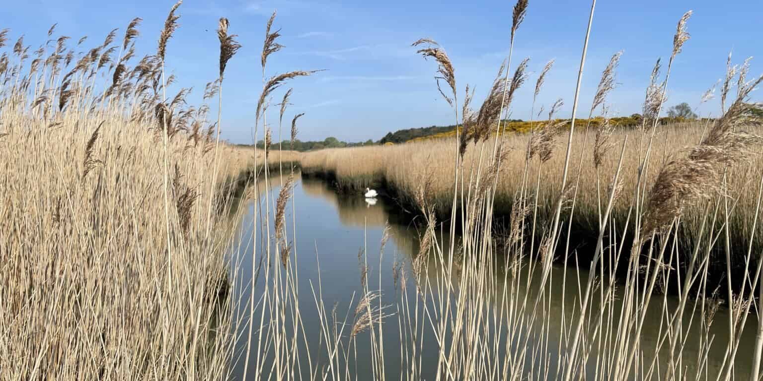 Nutritional Therapy in Suffolk